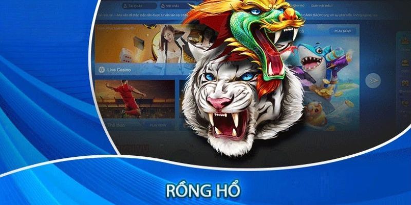 Rồng Hổ Aog777 tham gia dễ dàng 